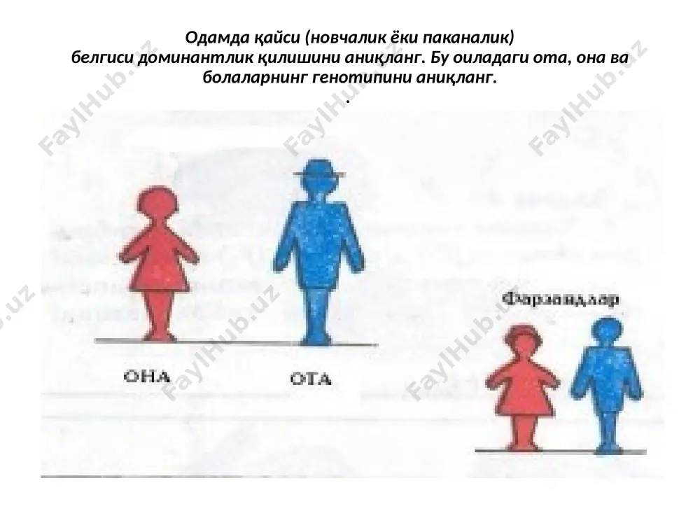 ланиб, ота-она ва f дурагайларининг гено типини аниқланг. ушбу чатиштиришда белгиларнинг бир-биридан мустасно равишда тақсимланишини исботланг. қуёнларда жуннинг қора ранги, оқ ранг устидан, ҳурпайган жун силлиқ жун устидан доминантлик қилади. қора ҳурпайган жунли қуён оқ силлиқ жунли қуён билан чатиштирилди. тажрибадан олинган биринчи бўғин дурагайи оқ силлиқ жунли қуён билан чатиштирилди. чатиштириш схемасини ёзинг ва ота-она, биринчи ва иккинчи авлод дурагайларининг генотипини аниқланг дурагайлаш усули. менделнинг биринчи ва иккинчи қонуни юзасидан тест топшириқлари 1. ота-оналардан олинган генларнинг йиғиндиси - бу: а.кариотип с. (генотип) в.фенотип д. геном 2. организмнинг ички ва ташқи белгиларининг йиғиндиси: а.кариотип с. генотип в.(фенотип) д. геном 3. менделнинг биринчи қонуни : а. дурагайларнинг биринчи бўғинларини тулиқ доминантликда 3:1 нисбатда белгиларга ажралиб кетиши қонуни қандай номланади? в. (биринчи бўғин дурагайининг бир хилдалик қонуни) с. белгиларнинг оралиқ ирсиятида тулиқсиз доминантлик д. тулиқсиз доминантликда оралиқ ирсият 4. менделнинг иккинчи қонуни қандай номланади? а. (дурагайларнинг биринчи бўғинларини тлиқ доминантликда 3:1 нисбатда …