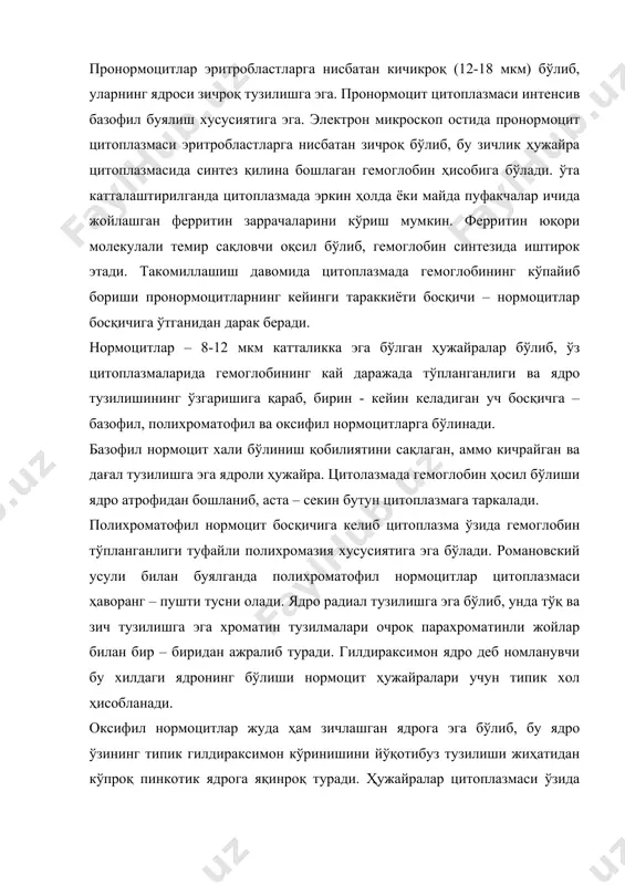 . гилдираксимон ядро деб номланувчи бу хилдаги ядронинг бўлиши нормоцит ҳужайралари учун типик хол ҳисобланади. оксифил нормоцитлар жуда ҳам зичлашган ядрога эга бўлиб, бу ядро ўзининг типик гилдираксимон кўринишини йўқотибуз тузилиши жиҳатидан кўпроқ пинкотик ядрога яқинроқ туради. ҳужайралар цитоплазмаси ўзида гемоглобин сақлаши туфайли романовский усулида буялганда эритроцитларга ўхшаб пушти ранга эга бўлади. эритропоэз жараёнида ҳужайралар цитоплазмаси ва ядросида маълум бир ўзгаришлар рўй беради. ядро кичраяди, юмалок шаклни олади, шу билан бирга хроматиннинг зичлашуви ва ядрочанинг йўқолиб кетиши кузатилади. цитоплазмада гемоглобин моддасининг тўпланиши туфайли унинг электрон зичлиги ошиб боради ва гомоген тусни олади. митохондриялар кичраяди ва уларнинг сони камаяди. гольжи комплекси кичрайиб боради ва оксифил нормоцитларда жуда ҳам кам учрайди. оксифил нормоцит босқичига келиб, ядро ҳужайра чеккасига қараб сурилади. кейинчалик ядро ингичка цитоплазма қавати (калинлиги тахминан 30 нм) билан биргаликда ҳужайрадан чиқиб кетади. итариб чиқарилган ядро дархол суяк кумигидаги макрофаглар томонидан қамраб олиниб, фагоцитозга учрайди. ўз ядросини йўқотган оксифил нормоцит ёш …