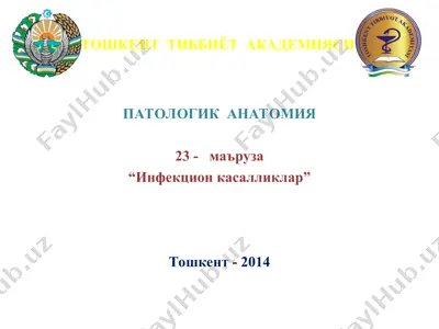 patologik anatomiya — PPT
