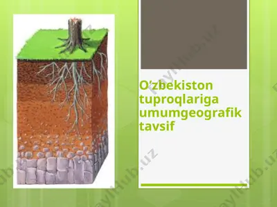 o’zbekiston tuproqlariga umumgeografik tavsif — PPTX