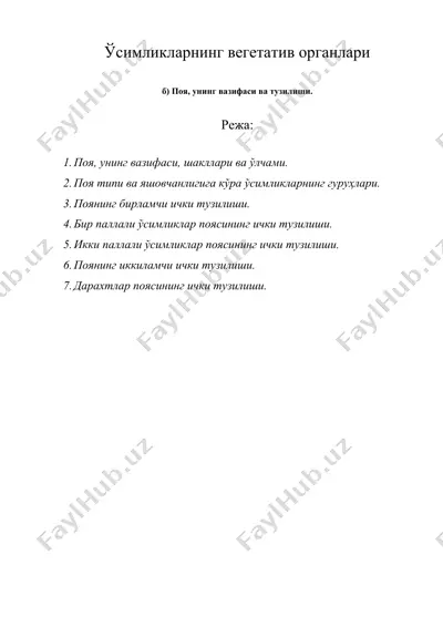 ўсимликларнинг вегетатив органлари 2 — DOCX