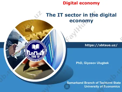 it sector in the digital economy — PPTX