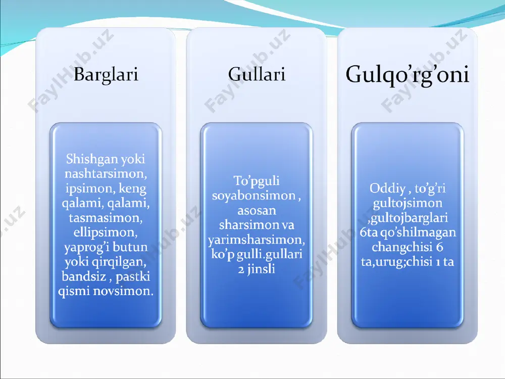 piyozdoshlar oilasi haqida ma'lumot - Page 5