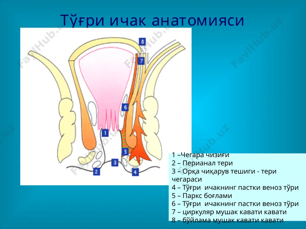 i klinik davrlari birinchi davr ichki gemrroidal tugunlar engil shishgan va fakat proktoskop orkali kurish mumkin ikkinchi davrda tugun orka chikaruv teshigidan zurikkanda chikadi va keyin uz joyiga tushadi uchinchi davrda orka chikaruv eshigidan chikan gemrroidal tugunlar mustakil uz joyiga tushmaydi va fakat bosim ostida uz joyiga tushirish mumkin turtinchi davrda va boism ostida xam tugunlarni uz joyiga tushirish iloji yuk gemorroy davosi konservativ (vannochkalar, gemorroidal venalar tromboflebitida medikamentoz davo va skleroterapiya) xirurgik gemorroidal tugunlar skleroterapiyasi birinchi marta 1869 yilda kilingan 1 va 2 davrlarida effektiv 4 yil ichida 30% gacha retsidiv berishi mumkin gemorroidal tugunlarni rezina xalkalar bilan boglash orka chikaruv teshigidan 2 sm proksimal boglanadi to'²ri ichak shillik kavati nekrozini va chandiklanishini chakiradi va retsidiv sonini kamaytiradi 96% 1 – oy davomida simtomsiz (ogriklarsiz) gemorroy xirurgik davosi milugan morgan operatsiyasi. parks operatsiya rijix operatsiyasi milugan morgan operatsiyasi uchala gemorroidal tugunlar boglanib kesiladi parks operatsiyasi tugun ichkaridan anodermadan va …