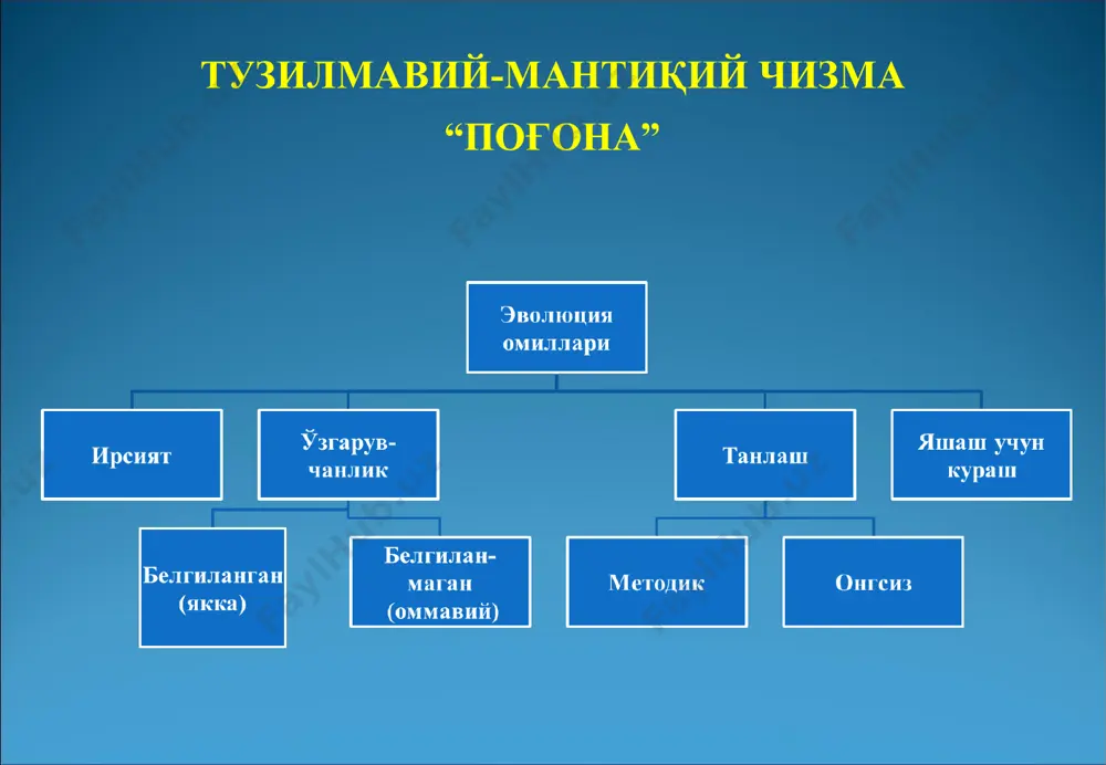 ч. дарвиннинг эволюцион таълимоти - Page 5