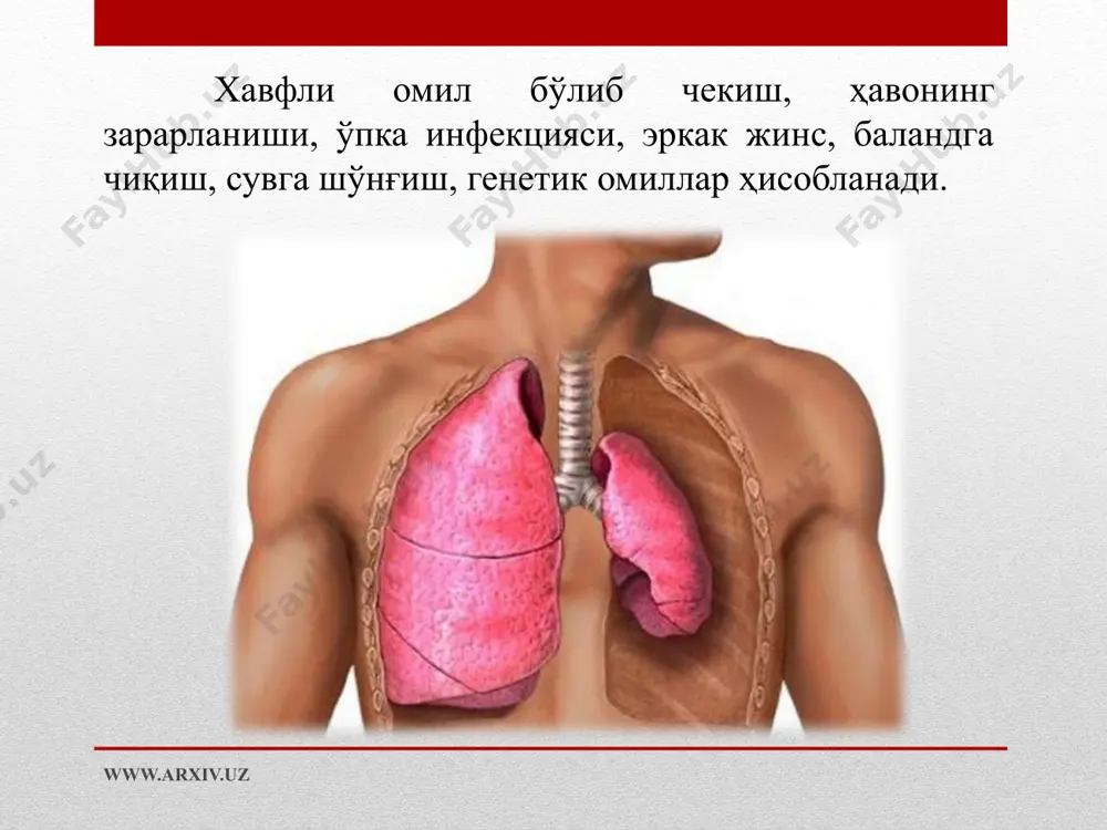 спонтан невмоторакс - Page 5