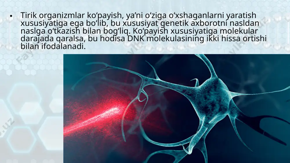 nazarda tutilsa, 43=64 ta kod hosil bo‘ladi. bitta aminokislota 2, 3, 4, 6 ta kod yordamida kodlanar ekan. genetik kod 1962-yili amerika bioximiklari m. nirenberg va s. ochaolar tomonidananiqlangan. genetik kodning xususiyatlari: har bir aminokislotani nukleotidlar tripleti kodlaydi. har bir triplet (kodon) bitta aminokislotani ifodalaydi. bitta aminokislotani bir necha triplet kodlashi mumkin. genetik kod barcha tirik organizmlar uchun universal. genetik kodning 61 tasi «ma’noli». oqsilning tuzilmasi haqidagi axborot yadrodan sitoplazmaga i-rnk tomonidan o‘tkaziladi. dnk qo‘sh zanjirining bir qismi yoziladi va zanjirlarning birida komplementarlik asosida (a–u, g–s) rnk-polimeraza fermenti yordamida i-rnk sintezlanadi. translatsiya irsiy axborotni i-rnk tilidan aminokislotalar tiliga tarjima qilish. translatsiya jarayonida rnkdagi axborot asosida ribosomalarda oqsil molekulasining birlamchi strukturasi hosil qilinadi. ribosomalarda i-rnk kodonlariga t-rnk antikodonlari komplementar tarzda bog‘lanadi. t-rnk tomonidan keltirilgan aminokislotalar fermentlar yordamida, atf energiyasi hisobiga o‘zaro peptid bog‘lar orqali birikadi, ya’ni oqsil sintezlanadi savol va topshiriqlar replikatsiya, transkripsiya so‘zlarining ma’nosini tushuntirib bering. dnkdan rnkning sintezlanish mexanizmini …
