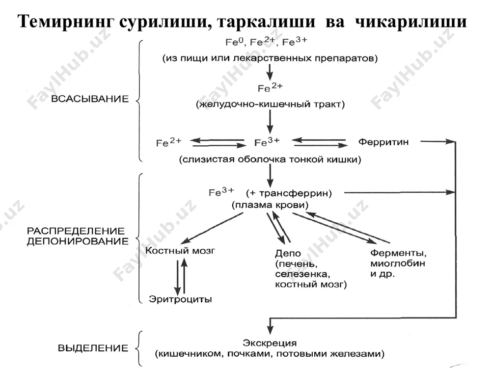 эритропоэзга таъсир килувчи воситалар - Page 5