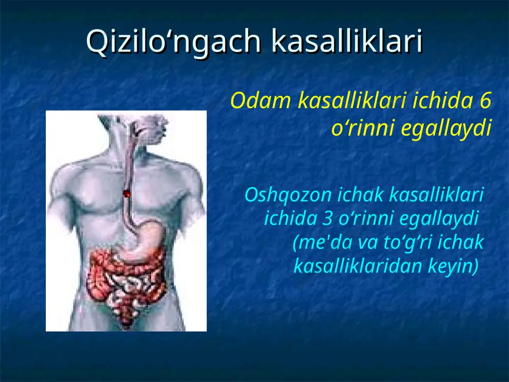 i qismi retroperikardial qism diafragma usti qismi diafragma ichi qismi abdominal qism qizilo‘ngach tuzilishi qizilo‘ngach anatomiyasi bo‘yin qismi ichki qism a. yuqorigi ko‘krak qismi b. o‘rta ko‘krak qismi. c. pastki ko‘krak qismi qizilo‘ngachning qon bilan ta'minlanishi va limfatik yo‘llari qalqonsimon bezning pastki arteriya shoxlari ko‘krak aortasi shohlari bronxial arteriyalar chap oshqozon arteriyasi yuqoriga ko‘tariluvchi shohi metastazlarni tarqalish yo‘llari qizilo‘ngach tekshirish usullari rentgenologik tekshirish usuli endoskopik tekshirish usullari radioizotop tekshirish usullari(tashqi va bo‘shliqga kirish bilan) ultratovush tekshirish usuli qizilo‘ngach ichi ph-metriyasi qizilo‘ngach motorikasini tekshirish kompyuter tomografiya qizilo‘ngachni endoskopik tekshirish usuli qizilo‘ngachni rentgenologik tekshirish usuli qizilo‘ngach kasalliklari tasnifi i. rivojlanish nuqsonlari 1. tug‘ma qizilo‘ngach atreziyasi va qizilo‘ngach-traxeal oqmalar 2. qizilo‘ngach tugma stenozlari 3. qizilo‘ngach tugma membranoz diafragmasi 4. tug‘ma kalta qizilo‘ngach 5. tug‘ma ezofageal kistalar 6. tomirlar anomaliyasi ii. jarohatlar 1. travmatik jarohatlar – tashqi va ichki 2. qizilo‘ngach kuyishi va uning asoratlari iii. qizilo‘ngach kasalliklari 1. divertikullar - pulsion va traksion …