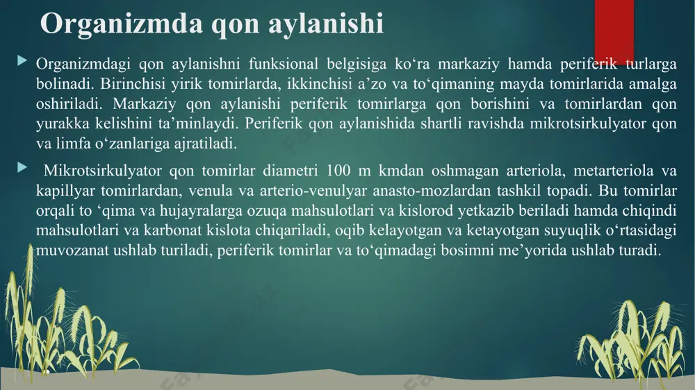 etishmovchiligida, vena dimlanishida, ishemiyalarda, arteriya giperemiyasining patologik shakllarida); 2.qon qovushqoqligining oshib ketishi (gem okontsentratsiyada, giperproteinemiyada, politsitemiyada); 3.mikrotomirlar devori shikastlanishi. ko‘rsatilgan omillar ta ’sirida qon hujayralari agregatsiyaga uchraydi (asosan eritrotsitlar), so‘ngra ular o’zaro va mikro tomirlar endoteliy hujayralari bilan adgeziyaga uchraydi va nihoyat hujayralarning agglyutinatsiyasi va membranalarning lizisi - sitoliz rivojlanadi. sladjga olib keluvchi qon shaklli elementlari 1) yuqorida keltirilgan sabablar ta’sirida qon hujayralarining faollashuvi va u lardan fiziologik faol moddalarning , shular qatori - proagregat moddalarning ajralib chiqishi, proagregat moddalarga a d f, tromboksan a2, kininlar, gistamin, prostaglandinlar kiradi. 2) hujayralardan hujayra yuzasi manfiy zaryadining «olinishi» yoki uning musbat zaryadga «qayta zaryadlanishi». hujayra yuzasida manfiy zaryad bol’ishi va miqdori uning suspenziyasi barqarorligini ta ’minlovchi muhim sharoit hisoblanadi. qon plazmasida kaliy, kaltsiy, magniy va boshqa kationlar miqdorining oshib ketishi (bu hujayra shikastlanishida kuzatiladi) qon silaklli elemenlari yuzasidagi zaryadni kamaytiradi yoki unimusbatga o‘zgartiradi. hujayralar bir-biriga yaqinlashadi, ularda adgeziya, agregatsiya va agglyutinatsiya jarayonlari …