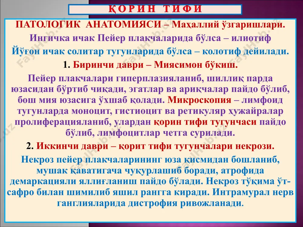 чуқурликда. қон кетиши ва ичак тешилиши билан хавфли. 4. яраларнинг битиш даври – 3-4 хафта давомида яралар ўрнида грануляцион тўқима ўсиб қопланади, қонловчи эпителий регенерацияланиб тикланади. асоратлари ва ўлим сабаблари: қон кетиши, - перфорация, - парапроктит, - перитонит, - ичак флегмонаси ичакдан ташқарида – бронхопневмония, - пиелит, - пиелонефрит, - артритлар, жигар абсцесслари, амилоидоз, озиб кетиш. choul ran – беҳуд касаллик, ёки юнончада chole - ўт-сафро ва rheo – оқиш дегани. вабо – бу ошқозон ва ингичка ичакнинг зарарланиши билан кечадиган ўта ҳавфли инфекцион касаллик бўлиб, фақат одамда учрайди, яъни антропоноз. | этиологияси. осиё вабоси кох вибриони (1884) ва эль-тор вибриони (1906). вибрион – бу грамманфий, аэроб, жуда харакатчан, 0,6х1,5 мкм га тенг эгилган кўринишдаги таёқча хисобланади. у сувда, хаттоки музда ҳам узоқ сақланади. патогенези. организмга сув билан тушади. яширин даври 3-5 кун. вибрион ошқозоннинг кислотали муҳитидан ўтиб, ингичка ичакда кўпаяди ва экзотоксин (холероген) чиқазади. у шиллиқ парда ҳужайраларида «натрийли …