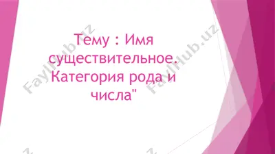 imya sushestvitelnoe. kategoriya roda i chisla — PPTX
