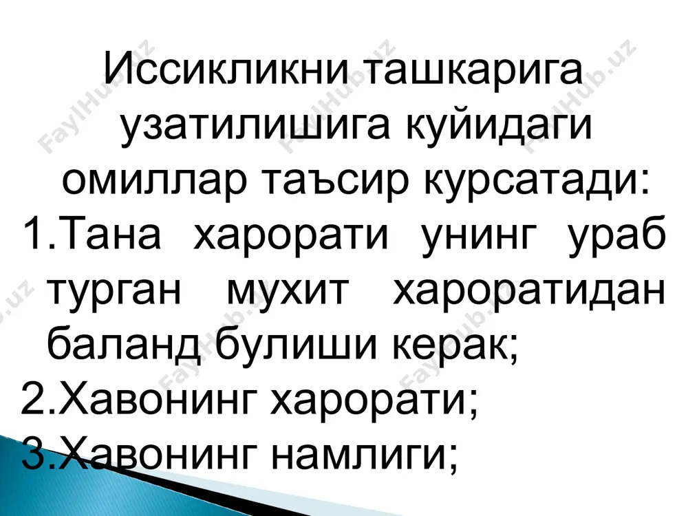 termoregulyatsiya - Page 4