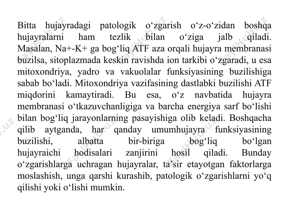 mning turli qismlariga tez tarqab ketadi. shunday qilib, hujayra genomining boshqarish funksiyasiga yangi faktorlar kiritiladi. qiz hujayralarga defektli axborotni uzluksiz berilishi genotipni o‘zgarishi orqali bo‘ladi. har bir organizm ma’lum muddat yashaydi. shuningdek, har qanday hujayraning hayoti ham chegaralangan. bir organizmga kiruvchi turli hujayralarning yashash muddati ham har xil. ammo, ba’zi hujayralar, masalan, sodda hayvon hujayrasi o‘lmaydi, deyish mumkin. sodda hayvon bo‘linganda, bir hujayra hayoti yangi hujayralarda davom etadi. shuningdek, jinsiy yo‘l bilan ko‘payadigan organizmlarning jinsiy hujayralari otalanish orqali avlodlarni bog‘laydi. organizm hujayralarining o‘limi normal holat bo‘lib, quyidagi ikki kategoriyani o‘z ichiga oladi;1) toliqish orqali hujayra o‘limi; 2) normal rivojlanish va differensiyalanish jarayonlaridagi o‘lim. odam organizmi taxminan 3 trillion hujayralardan tashkil topgan bo‘ladi. shulardan, taxminan 250 mld hujayra eritrotsitlardir. ularning hayoti 120 kun desak, har kuni 2 mldi yangilanib turadi. ovqat hazm qilish sistemasida yana 70 mld hujayra har kuni o‘ladi va ularning o‘rniga yangilari paydo bo‘ladi. odamning barcha hujayralari yetti …