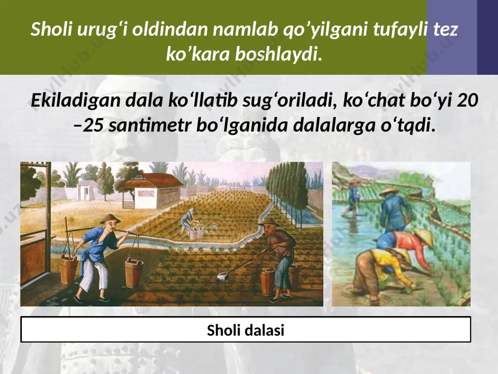 xitoyning qadimgi sivilizatsiyalari. 6- sinf - Page 4