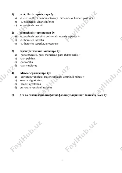 yandiq tarmoqlarining anatomiyasi — DOCX