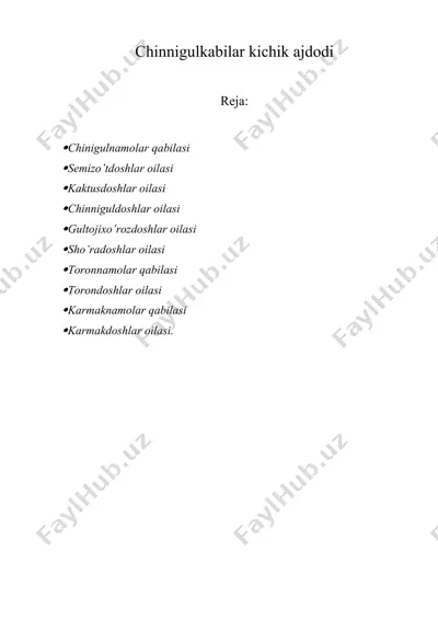 chinnigulkabilar kichik ajdodi — DOCX