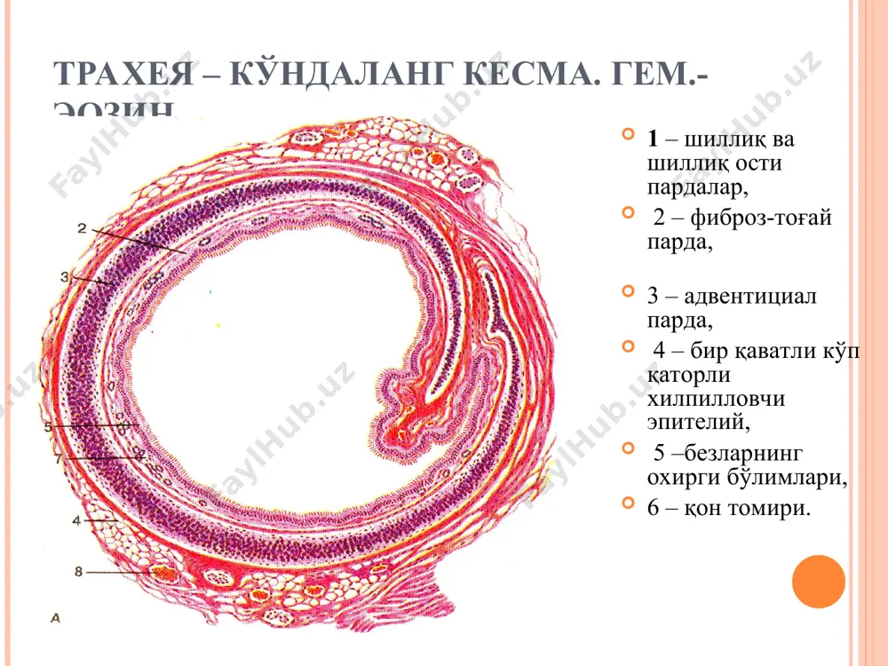naft olish tizimi - Page 5