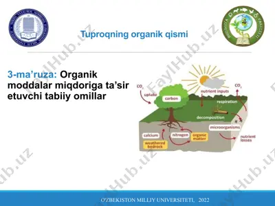 tuproqning organik qismi — PPTX
