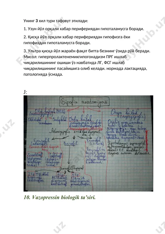oske endokrinologiya savollar - Page 5