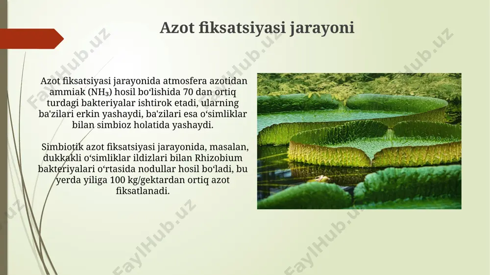 tabiatda azotni aylanishida mikroorganizmlarning ishtiroki - Page 5