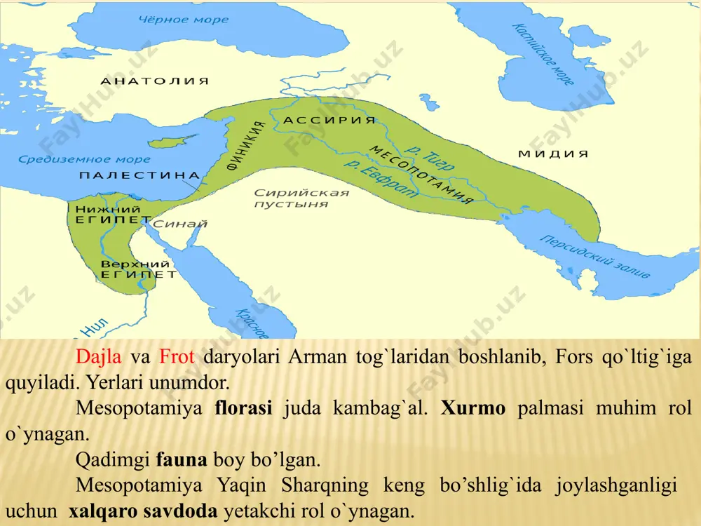 suzadan topilgan “naram-suen zafarnomasi” tasvirlangan tosh lavx. luvr muzeyi. manishtusudan so’ng taxtga o’tirgan sargon i ning nabirasi naram-sin yoki naram-suen (“sinning suyuklisi”, taxminan er. avv. 2237-2200) davrida akkad o’z ravnaqining cho’qqisiga chiqqan. suzadan topilgan “naram-suen zafarnomasi” tasvirlangan tosh lavx. luvr muzeyi. naram-suen mamlakat chegaralarini kengaytirgan. naram-suen janubda elam hududiga zafarli yurishlar qilgan. suzadan naram-suenning g’alabalari tasvirlangan tosh tasvirlar topilgan. bu zafarnomada naram-suen erishgan g’alabalar qayd etilgan. “naram-suenning qoyaga ishlangan tasviri. sulaymoniya viloyati, iroq kurdistoni. naram-suen g’arbda suriya, kichik osiyo hududlariga yurishlar qilgan. sharsimon bronza idish. unda “naram-suen to’rt iqlim hukmdori” deb yozilgan. idish aqshda, chikago instituti muzeyida saqlandi. bizgacha, naram-suen xaqida “to’rt iqlim mamlakatlarining barchasi uning oldida bosh egadi” deb yozilgan rivoyat, xaykallar, bo’rtma tasvirlar va turli buyumlar yetib kelgan. akkad hukmdori sharkali-sharri nomi qayd etilgan sharsimon idish. britaniya muzeyi. naram-suen vafotidan so’ng, sargon i sulolasining so’nggi vakili sharkali-sharri (er. avv. 2200-2176) taxtni boshqargan. uning davrida mamlakat kuchsizlangan. sharkali-sharri vafotidan …