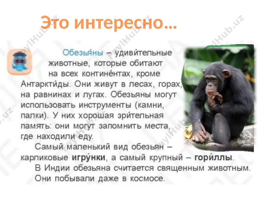 смягчающий мягкий знак - Page 4