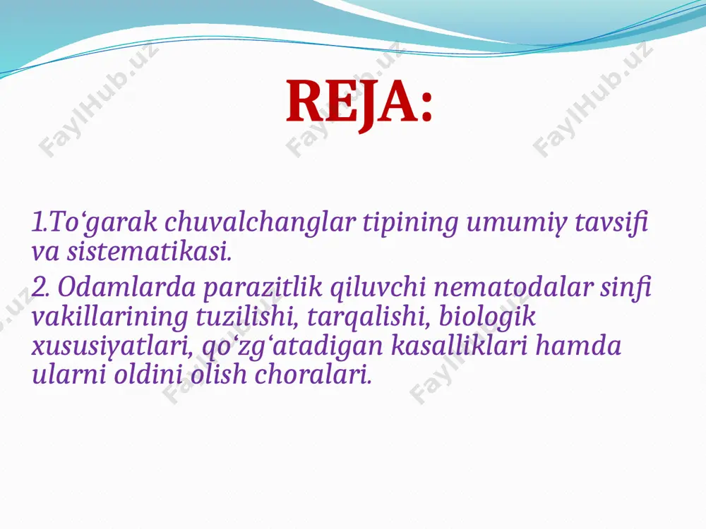 v tubidagi balchiqlarda uchratish mumkin. nematodalar tuproq biotsenozidagi ko‘p hujayrali organizmlarning asosiy qismini tashkil etadi. nematodalar sinfi vakillarining umumiy belgi-xususiyatlar: tanasi duksimon, ya'ni oldingi va keyingi uchi ingichkalashgan, ko‘ndalang kesimi to‘garak shaklda, tanasining oldingi uchida og‘iz teshigi, keyingi uchiga yaqin joyda esa anal teshigi joylashgan. tanasining anal teshigidan keyingi qismi dumni hosil qiladi, tananing anal teshigi joylashgan tomoni qorin deb ataladi, jinsiy va ayirish sistemasi teshiklari ham ana shu qorin tomondan tashqariga ochiladi. nematodalar sinfi 2 ta kenja sinfga bo‘linadi. adenoforalar (adenophorea) kenja sinfi. setsernentlar (secernentea) kenja sinfi. adenoforalar (secernentea) kenja sinfi vakillari, asosan dengiz, chuchuk suv, ba`zan tuproqda erkin hayot kechiradi. ko’pchilik turlari faqat kislorod yetarli bo’lgan sharoitda yashaydi. kutikulasi o’tkazuvchan bo’lganidan nematodani zararli moddalar tasiridan to’liq himoya qilaolmaydi. setsernentlar (secernentea) kenja sinfi vakillari asosan, o’simliklarda, hayvonlarda va odamlarda parazitlik qiladigan turlarni o’z ichiga oladi. odam askaridasi (ascaris lumbricoides). yer yuzida deyarli barcha mamlakatlarda tarqalgan. ayrim mamlakatlarda, masalan, yaponiyada …