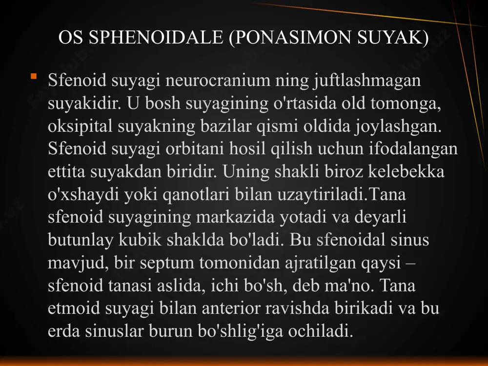 0° ga kamayadi, keksa yoshda esa tishlarni yo'qotish va chaynash harakati zaiflashishi bilan yana ortadi. bundan tashqari, hominidlarning turli turlari bilan maymunlarni taqqoslashd, chaynash funktsiyasining zaiflashishi kuzatiladi angulus mandibulae 90° bilan antropoid maymunlarda 95° ga heidelberg odamida, 100° — neandertal va 130° da — zamonaviy. e’tiboringiz uchun rahmat! image4.png image5.png image7.jpeg image8.jpeg image9.jpeg image10.jpeg image11.jpeg image12.jpeg image13.jpeg image14.jpeg image15.jpeg image16.jpeg image17.jpeg image18.png image19.jpeg image20.jpeg image21.jpeg image22.jpeg image23.jpeg image24.jpeg image25.jpeg image1.png image2.png image3.png