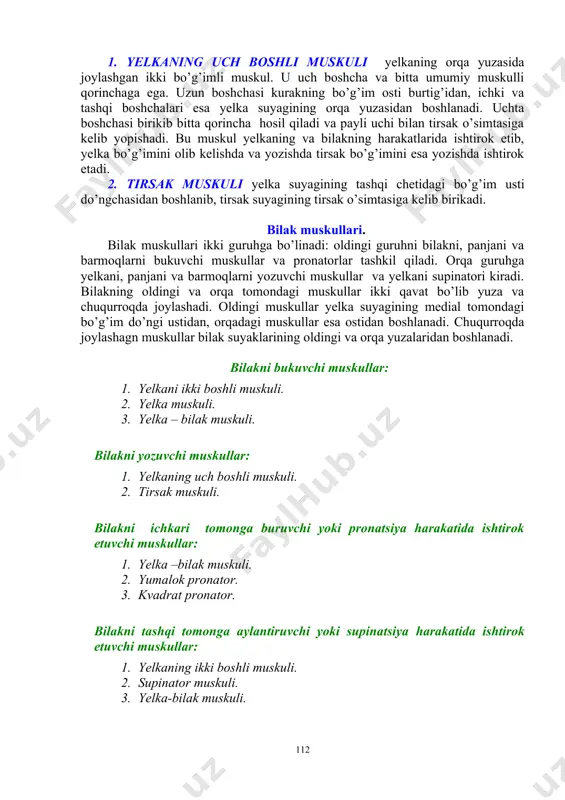 nadi. bilakni bukuvchi muskullar: 1. yelkani ikki boshli muskuli. 2. yelka muskuli. 3. yelka – bilak muskuli. bilakni yozuvchi muskullar: 1. yelkaning uch boshli muskuli. 2. tirsak muskuli. bilakni ichkari tomonga buruvchi yoki pronatsiya harakatida ishtirok etuvchi muskullar: 1. yelka –bilak muskuli. 2. yumalok pronator. 3. kvadrat pronator. bilakni tashqi tomonga aylantiruvchi yoki supinatsiya harakatida ishtirok etuvchi muskullar: 1. yelkaning ikki boshli muskuli. 2. supinator muskuli. 3. yelka-bilak muskuli. panjani, barmoqni bukuvchi muskullar: 1. qo‘l panjasini bukuvchi tirsak muskuli. 2. qo‘l panjasini bukuvchi bilak muskuli. 3. kaftning uzun muskuli. 4. barmoqlarni bukuvchi yuza muskul. 5. besh barmoqni bukuvchi uzun muskul. 6. barmoqlarni bukuvchi chuqur muskul. panjani va barmoqlarni yozuvchi muskullar: 1. barmoqlarni yozuvchi umumiy muskul. 2. v- barmoqni yozuvchi xaqiqiy muskul. 3. tirsakning qo‘l panjasini yozuvchi muskul. 4. bilakning qo‘l panjasini yozuvchi kalta muskuli va bilakning qo‘l panjasini yozuvchi uzun muskul. 5. ko‘rsatkich barmoqning o‘zini yozuvchi muskul va katta barmoqni …