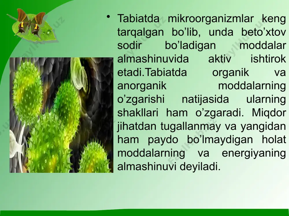 ni tashkil etadi. karbonat angidridni o’simliklar qabul qilib, murakkab o’zgarishlarga uchratadi, natijada havoga kislorod ajralib chiqadi. tabiatda uglerodning aylanishi azotsiz organik birikmalarning bijg’ishi (achishi) natijasida sodir bo’ladi. bijg’ish natijasida karbonat angidrid, suv va oraliq birikmalar – spirtlar, kislotalar (sut, sirka, yog’ kislota) hosil bo’ladi. hosil bo’lgan karbonat angidridi atmosferaga ko’tariladi va o’simliklar uni o’zlashtiradi hamda kislorod hosil qiladi. shu tariqa uglerod tabiatda almashinib turadi. bijg’ish jarayonlari qator mikroorganizmlarning fermentlari ta’sirida hosil bo’ladi. bijg’ishning bir necha turi mavjud. spirtli bijg‘ish – korbonsuvning oksidlanishi, natijasida etil spirti, karbonat angidridi hosil bo‘ladi va energiya ajraladi. bijg‘ishni asosan achitqi, shuningdek ba’zi bakteriyalar va zamburug‘lar amalga oshiradi. spirtli bijg'ish u yoki bu mahsulotni qayta ishlash natijasida uning spirtga aylanadigan biotexnologik jarayondir. bijg'ish hu-jayrada sodir bo'ladigan modda almashinuvining cncrgetikasi bilan chambarchas bog'liqdir. 1861-yilda l.paster spirtli bijg'ishni achitqi zamburug'larining faohyati bilan bog'liqligini o'rgangandan keyin bu jarayon biologik jarayon sifatida qaraladigan bo'ldi. spirtli bijg'ish biokimyoviy reaksiyalarning biiin-ketin keladigan …