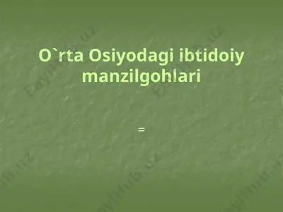 o`rta osiyodagi ibtidoiy manzilgohlari — PPTX