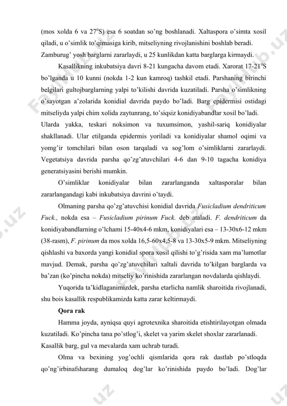 f. pirinum da mos xolda 16,5-60x4,5-8 va 13-30x5-9 mkm. mitseliyning qishlashi va baxorda yangi konidial spora xosil qilishi to’g’risida xam ma’lumotlar mavjud. demak, parsha qo’zg’atuvchilari xaltali davrida to’kilgan barglarda va ba’zan (ko’pincha nokda) mitseliy ko’rinishida zararlangan novdalarda qishlaydi. yuqorida ta’kidlaganimizdek, parsha etarlicha namlik sharoitida rivojlanadi, shu bois kasallik respublikamizda katta zarar keltirmaydi. qora rak hamma joyda, ayniqsa quyi agrotexnika sharoitida etishtirilayotgan olmada kuzatiladi. ko’pincha tana po’stlog’i, skelet va yarim skelet shoxlar zararlanadi. kasallik barg, gul va mevalarda xam uchrab turadi. olma va bexining yog’ochli qismlarida qora rak dastlab po’stloqda qo’ng’irbinafsharang dumaloq dog’lar ko’rinishida paydo bo’ladi. dog’lar rivojlangan sari sog’lom va kasallangan maydon-lar chegarasida burmalar xosil bo’ladi, po’stloq qorayadi va ko’pincha bo’ylama va ko’ndalang yoriqlar to’ri bilan qoplanadi. keyinchalik po’stloq nobud bo’ladi, to’kiladi va qoraygan yog’ochlik yalong’ochlanib qoladi. bunday tipdagi zararlanish xavfli xisoblanadi, chunki dastlab zararlangan shoxlar, keyin esa butun daraxt nobud bo’ladi. kasallikning boshqacha tipdagi ko’rinishida shoxlarning (asosan ingichka shoxlar) …