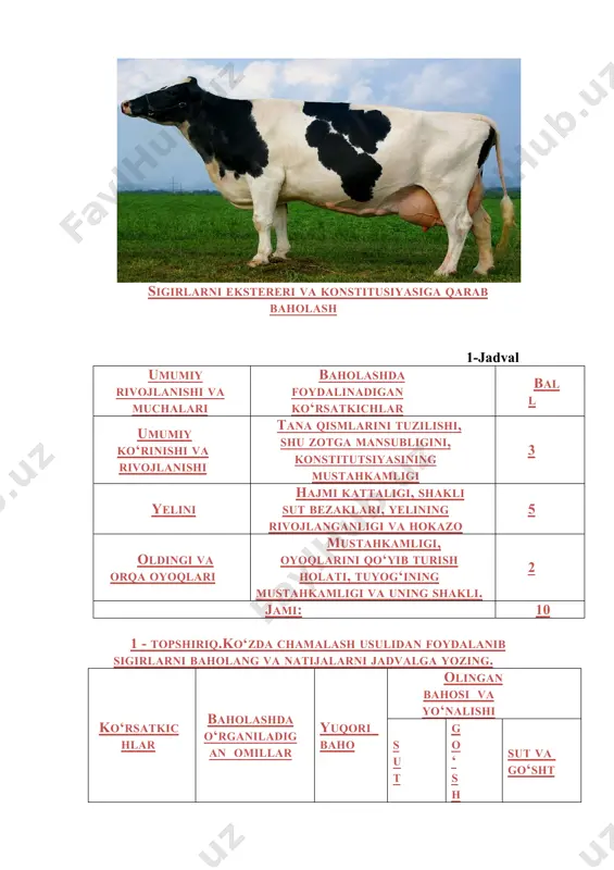rab baholash 1-jadval umumiy rivojlanishi va muchalari baholashda foydalinadigan ko‘rsatkichlar ball umumiy ko‘rinishi va rivojlanishi tana qismlarini tuzilishi, shu zotga mansubligini, konstitutsiyasining mustahkamligi 3 yelini hajmi kattaligi, shakli sut bezaklari, yelining rivojlanganligi va hokazo 5 oldingi va orqa oyoqlari mustahkamligi, oyoqlarini qo‘yib turish holati, tuyog‘ining mustahkamligi va uning shakli. 2 jami: 10 1 - topshiriq.ko‘zda chamalash usulidan foydalanib sigirlarni baholang va natijalarni jadvalga yozing. ko‘rsatkichlar baholashda o‘rganiladigan omillar yuqori baho olingan bahosi va yo‘nalishi sut go‘sht sut va go‘sht umumiy ko‘rinishi tana tuzilishining proporsionalligi, konstitutsiyasining mustahkamligi, zotning haraktirli belgilarining ko‘rinishi. 3 yelinlari yelinining hajmi, sut venalari, oldingi va keyingi so‘rg‘ichlari tanasiga yopishib turganligi, so‘rg‘ichlarining bir tekis rivojlanishi. 5 oldingi va keyingi oyoqlari mustahkamligi va qo‘yilishi, tuyog‘ining shakli va mustahkamligi. 2 jami 10 kallaning shakli va tuzilishiga qarab, hayvonning suyakdorligini bilish mumkin. jumladan, sersut zotli sigirlarning kallasi o‘rtacha, engil va qotmadan kelgan, eniga kam rivojlangan bo‘ladi. go‘shtdor zotli sigirlarning kallasi salmoqli, …