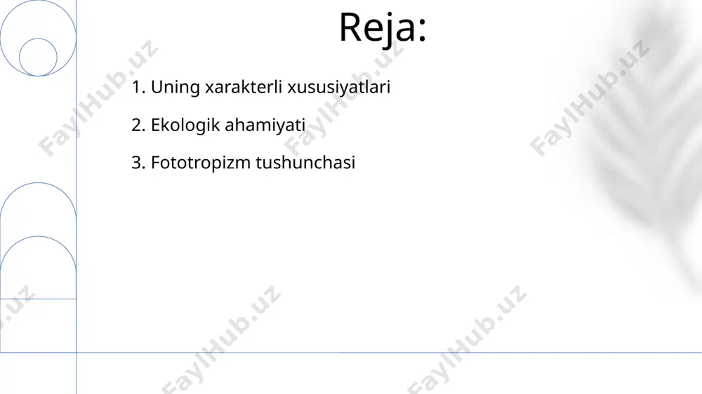 fototropizm tushunchasi - Page 2