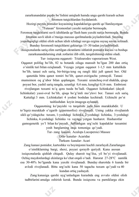 asallik tug’diruvchi mikroorganizmlar hisobiga o’simlik mevasi chiriy boshlaydi. kuzatuvlarga ko’ra, o’simlikning ko’chatlik davrida pomidor kuyasi tushsa, gullash davrigacha etmasdan zararlangan o’simlik nobud bo’ladi. meva tugish paytidan boshlab o’simlikning hosildorligi 60 foizgacha yo’qoladi, kuchli zararlangan maydonlardagi ekinlar esa butunlay qurib qoladi. issiqxona va ochiq dalada pomidor kuyasining tarqalishini hamda zararini kamaytirish uchun birinchi navbatda, agrotexnik ishlarni o’z vaqtida o’tkazib, biologik va kimyoviy kurash tadbirlari qo’llanilsa, hosil saqlab qolishga erishiladi. agrotexnik tadbirlardan – pomidor urug’ini ekishdan oldin kimyoviy preparatlar bilan dorilash zarur. tuproq-iqlim sharoitlarini hisobga olib, pomidor kuyasiga chidamli nav va duragaylarni qo’llash, ularni ilmiy asosda joylashtirish, almashlab ekishni to’g’ri tashkil etish; kuzgi shudgorni o’z vaqtida va sifatli o’tkazish; issiqxonada mavsum yakunlanganidan so’ng o’simlik qoldiqlarini maxsus chuqur va o’ralarga ko’mish ishlarini tashkil etish; ko’chatzorlarda pomidor kuyasi va kasalliklarga muntazam tarzda qarshi kurash olib borish; zararkunandalar paydo bo’lishini aniqlash hamda unga qarshi kurash uchun feromon tutqichlardan foydalanish. hozirgi paytda pomidor kuyasining kapalaklariga qarshi …