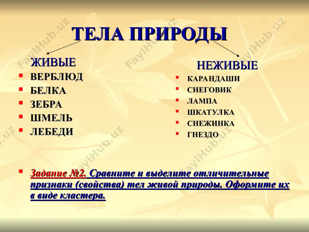 организм и его свойства - Page 3