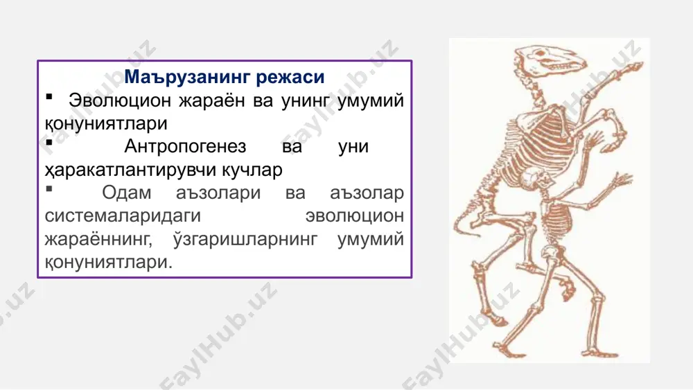 нтар омиллари таъсирида шаклланди: ўзгарувчанлик табиий танланиш: табиий селекция туфайли инсоният ривожланган мияга, қўл кафтининг ривожланишига, тик юришга, тери (сочлар фақат бошида сақланади) да жунларнинг бўлмаслигига эга бўлди. мутациялар изоляция яшаш учун кураш эволюцияга асосан иқлим ўзгариши ва релеф ўзгариши билан боғлиқ ҳолда турмуш тарзининг ўзгариши ёрдам берди. одамда гаплоид тўпламда хар бир авлодда 1 дан 10 гача янги мутациялар ҳосил бўлиши мумкин. мутациялар одам популяцияларининг полиморфизмига сабаб бўлади, генетик юкни ҳосил килади. генетик юк мутацион юк (янги мутациялар) ва сегрегацион (аввалги авлодлардан ўтган) юкдан ташкил топади. генетик юк – популяцияда ноқулай аллелларнинг гетерозигота ҳолатида тўпланиши. генетик юк летал эквивалент билан баҳоланади. летал эквивалент - гомозигота ҳолатида учраганда ўлимга сабаб бўлувчи рецессив аллеллар йиғиндиси. генетик юк мавжудлиги туфайли ҳомилаларнинг ёки организмларнинг 50% га яқини нобуд бўлади ёки ўзидан авлод қолдирмайди. генетик юк муаммоси тиббиётда катта аҳамиятга эга. тиббий- генетик маслаҳатларини ўтказишда популяциялар, оилалар генетик юкини билиш катта аҳамиятга эга. ташқи …