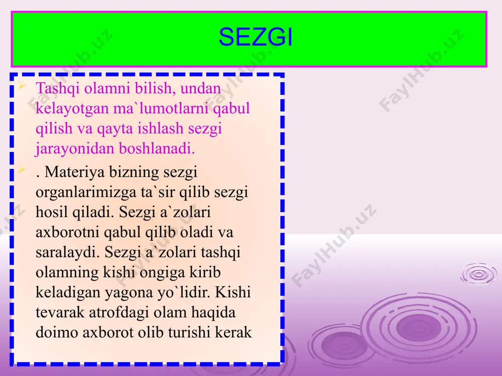 ti haqida axborot beradi. muskul-harakat sezgilari motor sezgilar yoki kinestetik sezgilar deb ham ataladi. bu xil sezgilarga tazyiq (og‘irlik)ni bilish sezgilari, qarshilikni (qattiqlik, yumshoqlikni) bilish sezgilari va ayrim organlarning harakatini bilish sezgilari kiradi reseptorlari paylarda va mushaklarda joylashgan propriotseptiv sezgilar. ular gavdamizning holati va harakatlari haqida ma`lumotlar berib turadilar. , , 13 sezgilarga xos bir qancha qonuniyatlar mavjuddir. , , avvalo sezgining hosil bo’lishi uchun qo`zg`ovchi ma’lum kuchga ega bo`lishi lozim. qo`zg`ovchi ta’sir etishi bilan sezga hosil bo`lmaydi, balki oradan ma’lum vaqt o’tadi. bu vaqt 0,02 sekunddan 0,1 sekundga tengdir. xuddi shu singari,sezgi hosil bo`lgach ,ma’lum muddat davom etadi.davom etish muddatiga qarab sezgilar qisqa va uzoq muddatli bo`ladi. sezgilar kuchli va kuchsiz ham bo’lishi ham mumkin.bu qo`zg`ovchi kuchiga bog’liqdir. sezgirlikni mashq yo’li bilan kuchaytirishga sensibilizatsiya deyiladi. 14  sensibilizasiya. . . analizatorlarning o'zaro munosabati va mashq qilish natijasida sezuvchanlikning ortishi sensibilizasiya deb ataladi. masalan, mashq qilish natijasida musiqa bilan shug'ullanadigan …