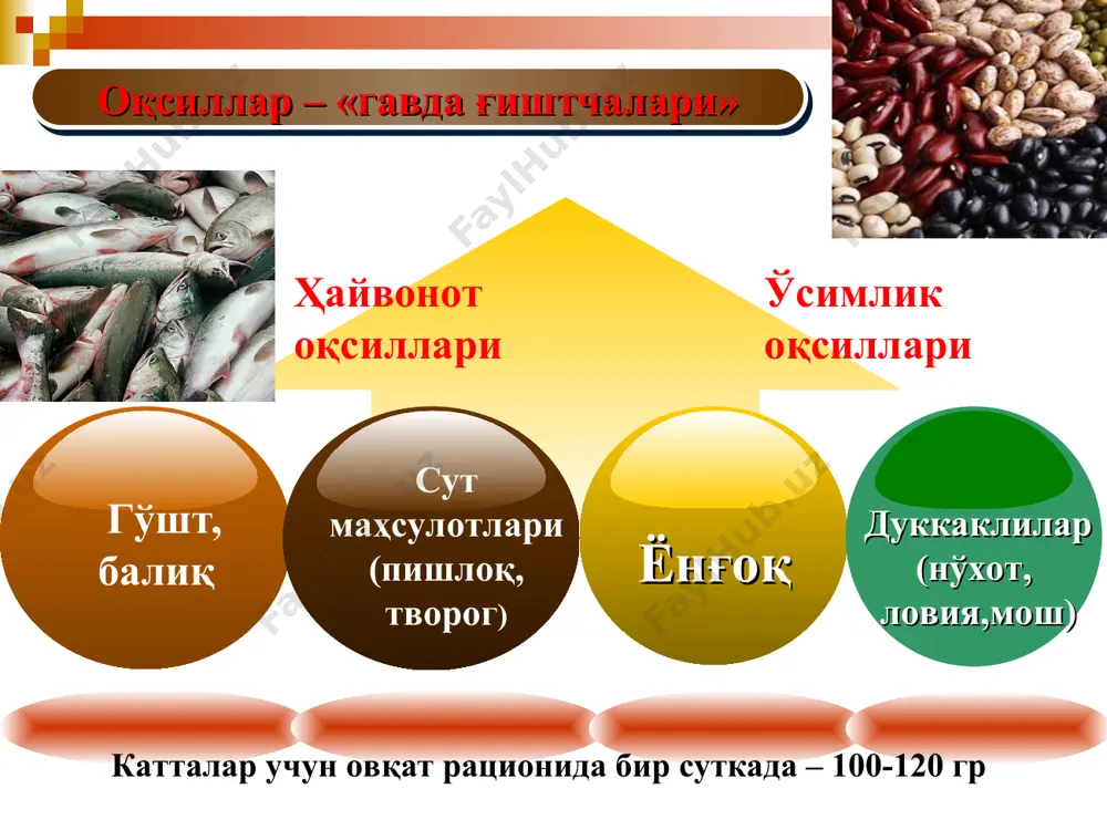 и касаллик ўткир ва шакарли овқатлар тузи кўп овқатлар ҳайвонот ёғларига бой овқатлар нотўғри овқатланиш биологик фаол моддалар танқислиги органлар функцияларининг пасайиши иммун холатининг пасайиши қон-томир касалликлари асаб касал- ликлари ички органлар хасталиклари ўлим семизлик * гуруҳ организмда темирни физиологик йўқотиш организмни темирга физиологик талаби. эркакларда 1 мг/сут. 1-2 мг/сут. ҳайз кўрадиган аёллар ва қизларда 1 мг/сут.+35 мг ойига (mensis) 2-3 мг/сут. ҳомиладор аёлларда 1 мг/сут.+700 мг (ҳомиланинг 9 ой давомида ривожланиши учун) 6 мг/сут. эмизикли аёлларда (ҳайзсиз) 1 мг/сут.+2 мг/сут. (кўкрак сути) 3 мг/сут. 1 ёшгача бўлган болаларда 0,9 мг/сут. 0,9 мг/сут. ўсмирлар (қизлар ва ўғил болалар) 1 мг/сут.+1-2 мг/сут. (ўсиш ва ривожланиш учун) 4-5 мг/сут. гуруҳ организмда темирни физиологик йўқотиш организмни темирга физиологик талаби. эркакларда 1 мг/сут. 1-2 мг/сут. ҳайз кўрадиган аёллар ва қизларда 1 мг/сут.+35 мг ойига (mensis) 2-3 мг/сут. ҳомиладор аёлларда 1 мг/сут.+700 мг (ҳомиланинг 9 ой давомида ривожланиши учун) 6 мг/сут. эмизикли аёлларда (ҳайзсиз) 1 …