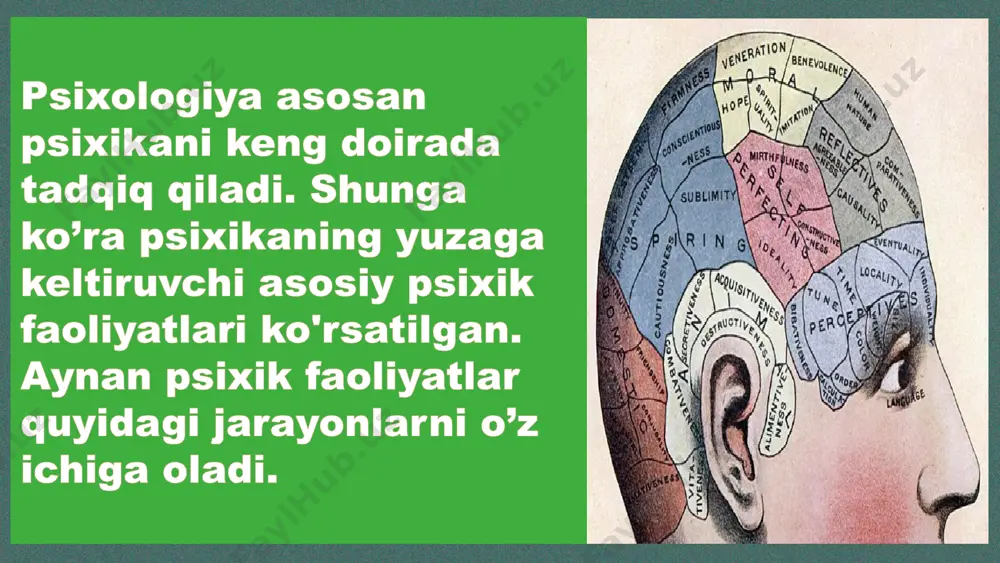 n mehnat faoliyatining psixologik xususiyatlarini, mehnatni ilmiy asosda tashkil qilishning psixologik tamoyillarini o’rganadi. mehnat psixologiyasining bir nechta bo’limlari mavjud aniq faoliyat turiga ko’ra psixologiyaning quyidagi turlari mavjud: muhandislik psixologiyasi- inson bilan mashina o’rtasidagi vazifalarni taqsimlash masalalarini hal qiladi va asosan operatorlarning faoliyatini o’rganadi; 27 aviasiya psixologiyasi- uchishga o’rganish jarayoni va uchish moslamalarini boshqarishda inson faoliyatining psixologik qonuniyatlarini o’rganadi; 28 kosmik psixologiya- vaznsizlik holati, fazoviy tasavvurlar chalkashib ketgan vaqtda va organizmga juda ko’p ortiqcha ta'sirlar yuklangan paytda asab va ruhiy zo’r berish bilan bog’liq bo’lgan alohida holatlar tug’ilganda odam faoliyatining xususiyatlarini o’rganadi. 29 30 pedagogik psixologiya-uning predmeti o’quvchilarga ta’lim-tarbiya berishning psixologik qonuniyatlarini o’rganish, o’quvchilar tafakkurini taraqqiy topishi, intellektual faoliyat malakalari va usullarini o’zlashtirish jarayonini boshqarish masalalarini o’rganadi. pedagogik psixologiya bo’limlari quyidagilardir: ta’lim psixologiyasi ta’lim psixologiyasi odamlarning o'rganishi, jumladan, o'quvchilarning natijalari, o'qitish jarayoni, ta'lim olishdagi individual farqlar, iqtidorli o'quvchilar va o'rganishdagi nogironlar kabi mavzularni o'rganishni o'z ichiga oladi. psixologiyaning ushbu bo'limi nafaqat …
