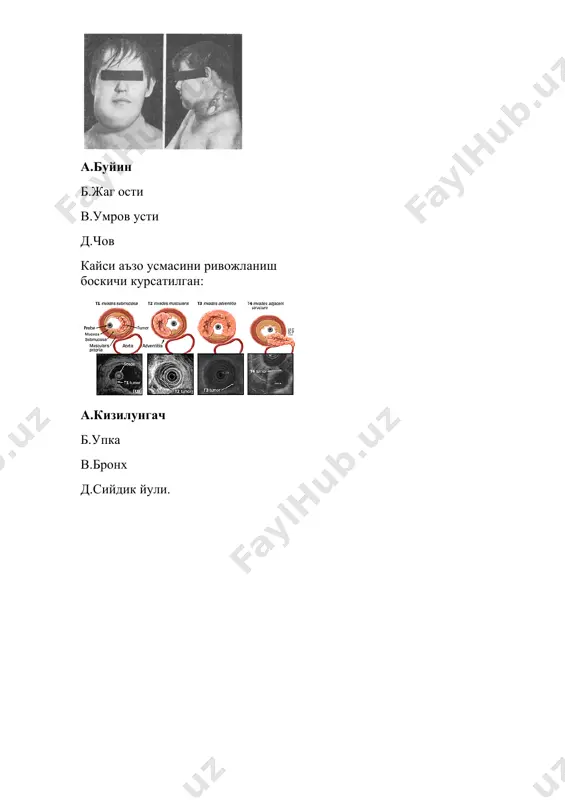 onkologiya dorilari - Page 5