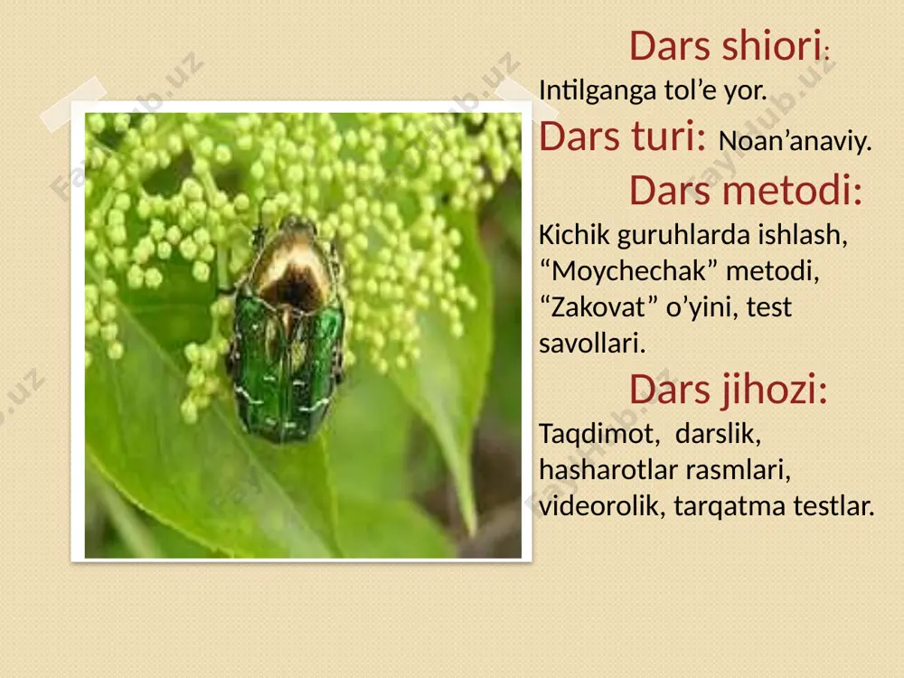 hasharotlar esa qisqichbaqasimonlardan paydo bo'lgan. mustahkamlash. “zakovat savollari” o’yini tarzida. 1.donxo’r qush don bilan oziqlanadi,u bilan hasharotlar o’ratasida qanday bog’liqlik bor? 2.beda va sebarga bilan tukli arilar o’ratasida qanday bog’liqlik bor? 3 .yog’ochdan qurilgan uy kuchsiz zilzila oqibatida qulab tushdi, bunga nima sabab bo’lgan bo’lishi mumkin? 4.omborda 500 kg bug’doy bor edi, malum vaqt o’tgach donni tarozida tortib ko’rishganda 475 kg don chiqdi.omborga sichqon yoki kalamush kirmagan. o’ylab ko’ring nima sababdan don kamaygan? 5.bahorda feruza buvijonisiga atab jundan chiroyli ro’mol to’qidi. qishda buvisining tug’ilgan kunida ro’molni sovg’a qilmoqchi bo’lib qarasa, ro’molda bir nechta teshikchalar paydo bo’lgan. nima sababdan yangi ro’mol bu ahvolga kelib qolgan? 6. behruz endigina 3 yoshga to’lgan. uning otasi chet elda ishlaydi va oilaning yagona boquvchisi. onasi va buvisi uy bekasi. bobosi esa vafot etgan. bobur faqat uyda buvisi bn o’tiradi. to’satdan unda gepatit yani sarg’ayma kasalligi aniqlandi. savol: boburda bu kasallik qayerdan va qanday paydo bo’ldi? …