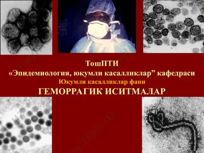 геморрагик иситмалар — PPT