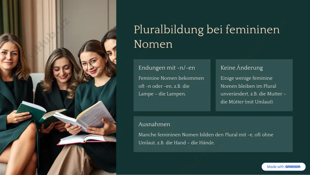 nomen: die pluralbildung von nomen im deutschen - Page 4