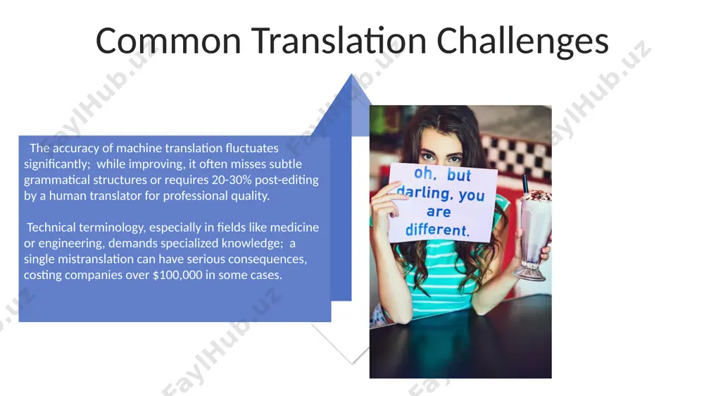 translation process and challenges presentation - Page 4