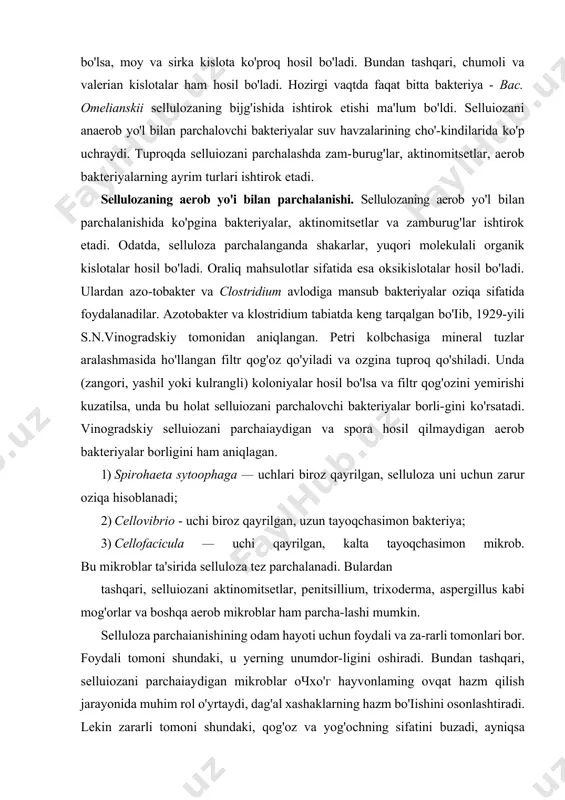 ijg'ishda c02 va h2 kam hosil bo'lsa, moy va sirka kislota ko'proq hosil bo'ladi. bundan tashqari, chumoli va valerian kislotalar ham hosil bo'ladi. hozirgi vaqtda faqat bitta bakteriya - вас. omelianskii sellulozaning bijg'ishida ishtirok etishi ma'lum bo'ldi. selluiozani anaerob yo'l bilan parchalovchi bakteriyalar suv havzalarining cho'-kindilarida ko'p uchraydi. tuproqda selluiozani parchalashda zam-burug'lar, aktinomitsetlar, aerob bakteriyalarning ayrim turlari ishtirok etadi. sellulozaning aerob yo'i bilan parchalanishi. sellulozaning aerob yo'l bilan parchalanishida ko'pgina bakteriyalar, aktinomitsetlar va zamburug'lar ishtirok etadi. odatda, selluloza parchalanganda shakarlar, yuqori molekulali organik kislotalar hosil bo'ladi. oraliq mahsulotlar sifatida esa oksikislotalar hosil bo'ladi. ulardan azo-tobakter va clostridium avlodiga mansub bakteriyalar oziqa sifatida foydalanadilar. azotobakter va klostridium tabiatda keng tarqalgan bo'iib, 1929-yili s.n.vinogradskiy tomonidan aniqlangan. petri kolbchasiga mineral tuzlar aralashmasida ho'llangan filtr qog'oz qo'yiladi va ozgina tuproq qo'shiladi. unda (zangori, yashil yoki kulrangli) koloniyalar hosil bo'lsa va filtr qog'ozini yemirishi kuzatilsa, unda bu holat selluiozani parchalovchi bakteriyalar borli-gini ko'rsatadi. vinogradskiy selluiozani …