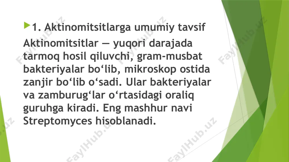 aktinomitsitlar - Page 3