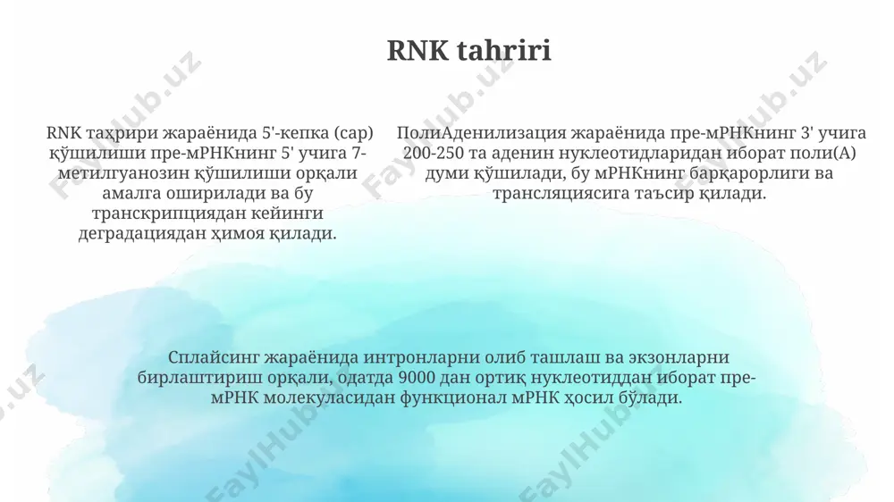 rnk transkripsiyasi va prossengi - Page 5