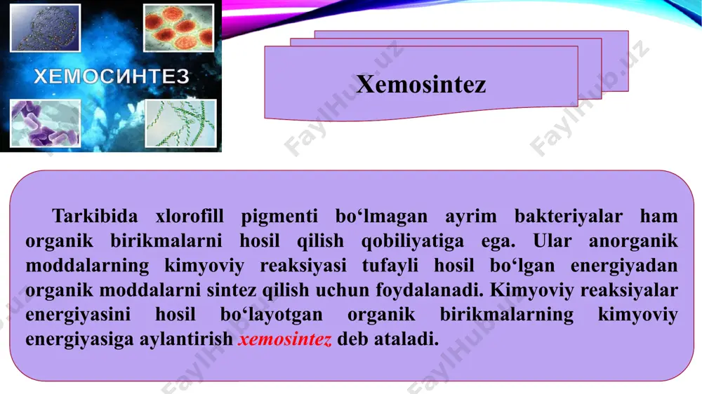 dan yaxshi o‘zlashtiriladigan azot birikmalariga aylantirib beriladi. topshiriqlar xemosintez deb nimaga aytiladi? xemosintez hodisasi kim tomonidan kashf etilgan? xemosintez hodisasi nechanchi yilda kashf etilgan? xemosintezlovchi organizmlarga misollar keltiring. qanday bakteriyalar tuproqni o‘simliklar uchun zarur azotli birikmalarga boyitadi? image2.png image3.jpeg image4.jpg image5.jpg image6.png image7.jpeg image8.png image9.png image10.png image11.png image12.png image13.png image14.png image15.png image16.png image17.jpeg image18.jpeg image1.png /docprops/thumbnail.jpeg